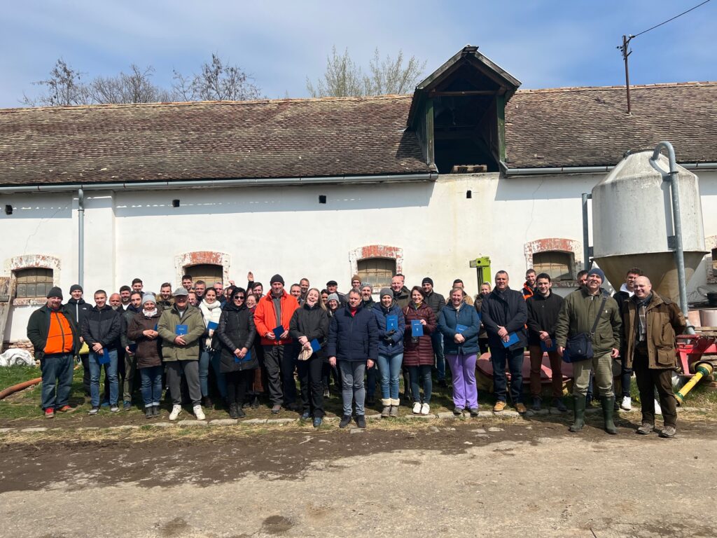 aranykalászos képzés